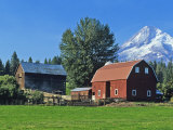 Red Barn in the Hood Valley, Mt Hood, Oregon, USA Photographic Print by Chuck Haney
