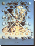 Galatea of the Spheres, 1952 Stretched Canvas Print by Salvador Dalí