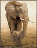 Momma's Boy Framed Canvas Print by W. Michael Frye