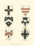 Coat of Arms IV Art by Catton 
