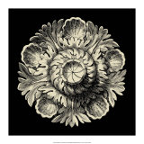 Black and Tan Rosette III Prints