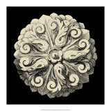 Black and Tan Rosette II Posters