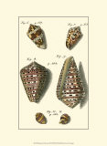 Neptune's Treasure III Prints by Kruger 