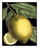 Fragrant Citrus II Posters por Volkamer