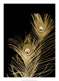 Plumes d'Or II Affiches par Jason Johnson