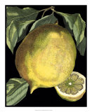 Fragrant Citrus I Pôsters por Volkamer