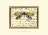 Libellule harmonie II Affiches