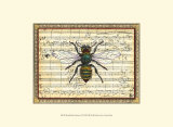 Bumblebee Harmony I Poster