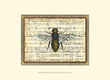 Bumblebee Harmony II Prints