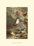 Wagtails and Wrens Art