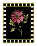 Besler Pink Peony I Poster by Basilius Besler
