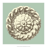Celadon and Mocha Rosette IV Poster
