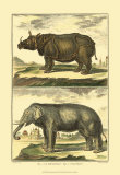 Elephant and Rhino Pôsters por Denis Diderot