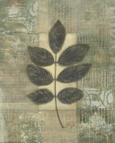 Leaf Textures II Láminas por Norman Wyatt Jr.