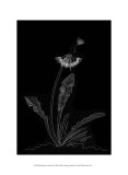 Dandelion Garden II Prints by Alicia Ludwig
