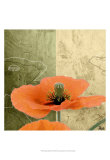 Orange Poppies III Posters by Patty Q.