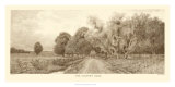 The Country Road in Sepia Prints by C. Harry Eaton