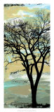December Morning I Prints by Alicia Ludwig