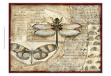 Poetic Dragonfly I Posters por Chariklia Zarris Poetic Dragonfly I Posters por Chariklia Zarris