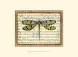 Harmonie de libellules I Posters