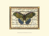 Armonía de mariposas II Arte