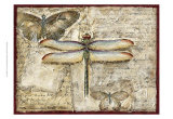 Poetic Dragonfly II Print by Chariklia Zarris