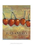 Habanero Affiches par Norman Wyatt Jr.