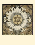 Rosette Detail V Prints