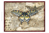 Poetic Butterfly II Poster by Chariklia Zarris