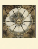 Rosette Detail I Prints