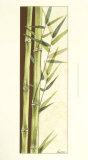 Bamboo Garden I Art by Ethan Harper
