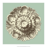 Celadon and Mocha Rosette III Prints