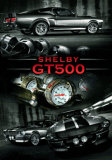 Easton Chang GT500 Láminas