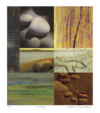 Life As A Stone-Acadia Series Limited Edition by Peter Kitchell