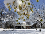 South Lawn of Thomas Jefferson's Home Monticello Photographie par Steve Helber