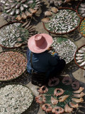 A Thai Woman Sells Dried Fish in Bangkok, Thailand, January 26, 2007 Photographic Print by Apichart Weerawong