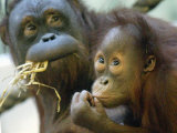 Deu Zoo Berlin Photographie