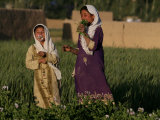 Two Girls Play in the Bamiyan Valley, Next to the Buddha Statue That was Destroyed, July 19, 2006 Photographic Print by Rodrigo Abd
