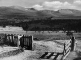The Gateway to the Cairngorms Lochan Mountains Scotland Photographic Print