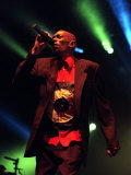 Faithless at the SECC, Glasgow, March 2002 Lámina fotográfica Faithless at the SECC, Glasgow, March 2002 Lámina fotográfica