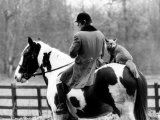 A Pet Fox Sits on the Horse of Its Owner Photographic Print