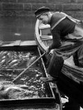 Scene from Copenhagen's Fish Market, December 1946 Photographic Print