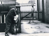 A Postman Hides Behind a Wall, Scared of a Great Dane Dog Leaning on the Fence of the House Photographic Print