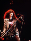 The Ramones, Rock Group Playing at the Reading Rock Festival, August 1988 Photographie