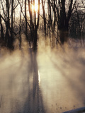 Beautiful Sunlight Streaming Through Mist and Forest Photographic Print