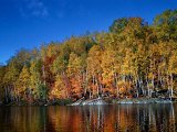 Autumn Scene in Northern Ontario, Canada Photographic Print