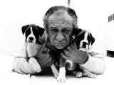 Sid James and His Boxers Dogs Bula and Beaut Fotografie-Druck