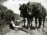 A Farmer Takes a Break with His 2 Horses after Ploughing His Field, 1934 Photographie