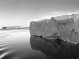 Antarctica Iceberg in the Ocean 1950s Photographie