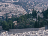 City on a Mountain - Israel, Jerusalem, Valley of Kidron, Garden of Gethsemane Photographic Print